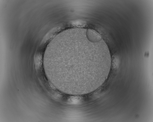 X0000113980713200910231708