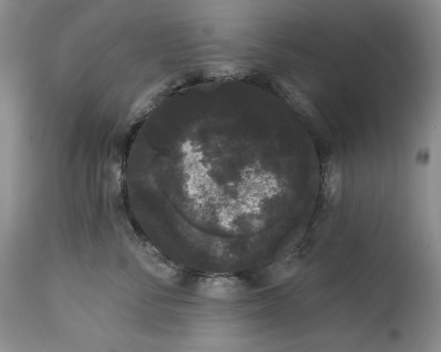 X0000113980716200910231708