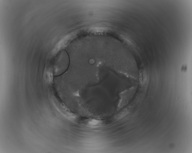 X0000113980718200910231708