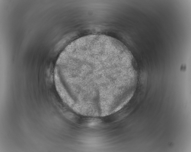 X0000113980719200910231708