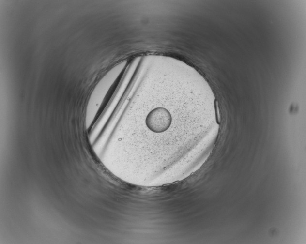 X0000113980720200910231708