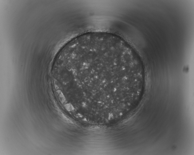 X0000113980721200910231707