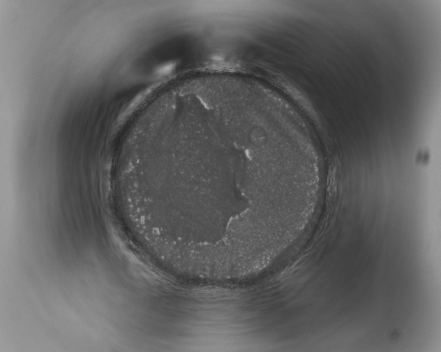 X0000113980722200910231707