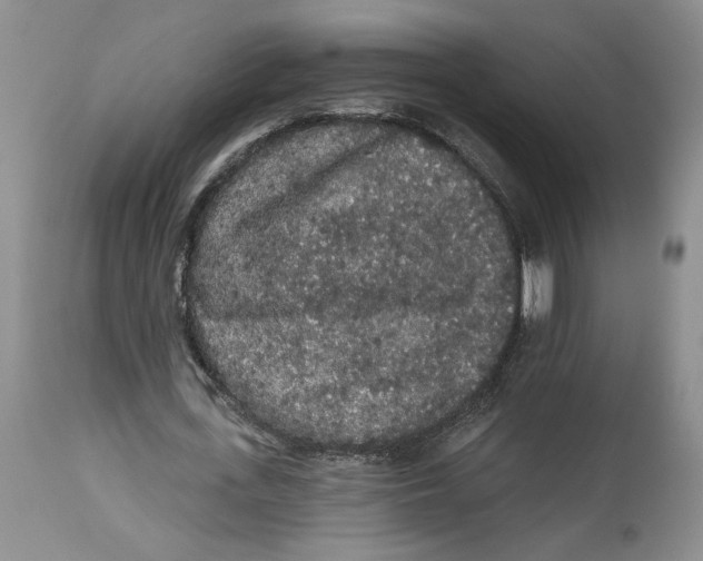 X0000113980723200910231707