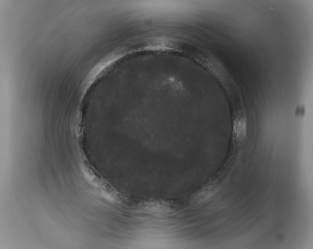 X0000113980724200910231707