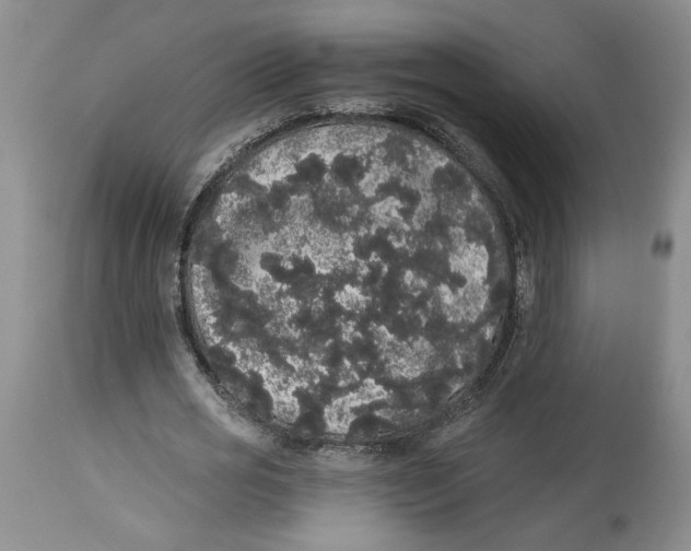 X0000113980725200910231707