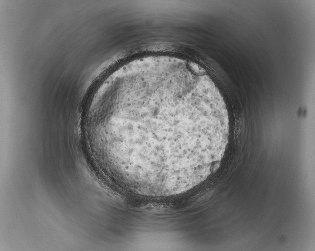 X0000113980727200910231707