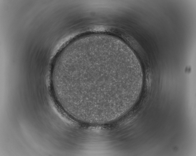 X0000113980728200910231707