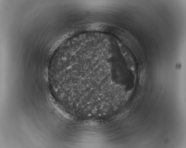 X0000113980729200910231707