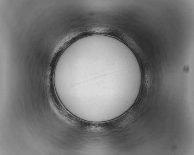 X0000113980730200910231707