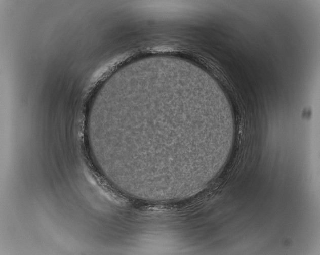 X0000113980732200910231707