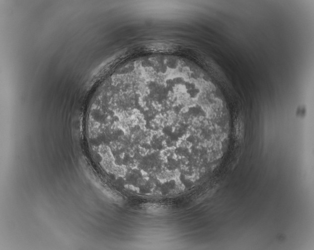 X0000113980733200910231707