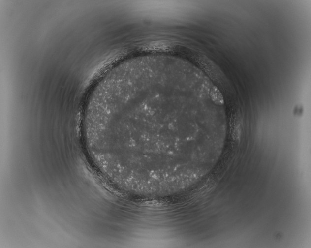 X0000113980735200910231707