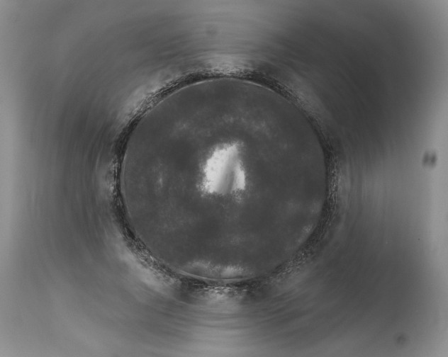 X0000113980736200910231707