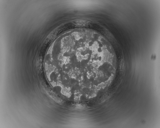 X0000113980737200910231707