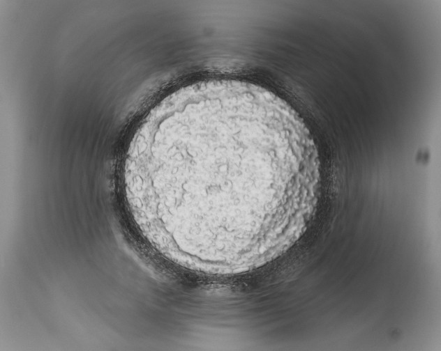 X0000113980738200910231707