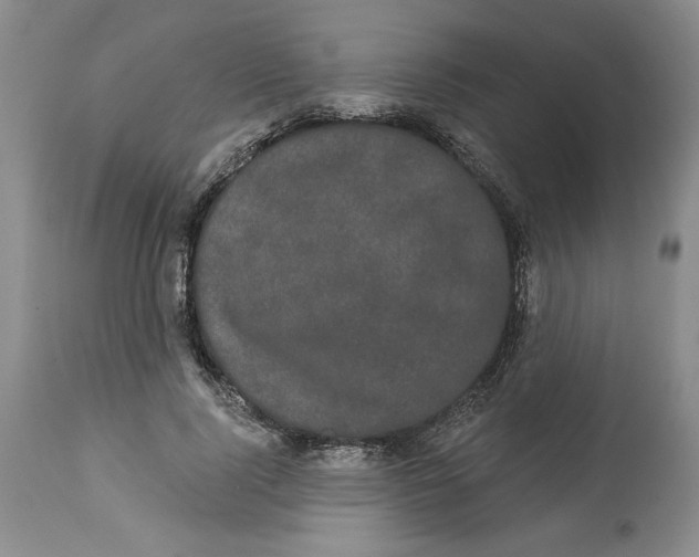 X0000113980740200910231707