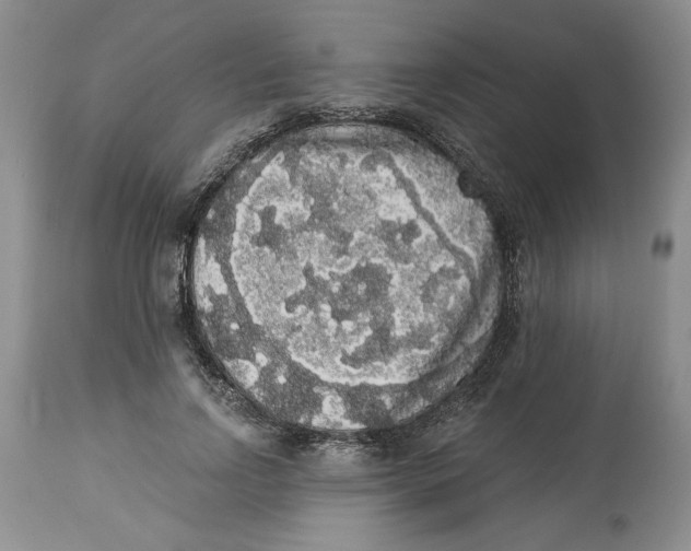 X0000113980742200910231707