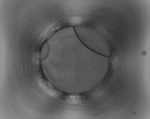 X0000113980744200910231707