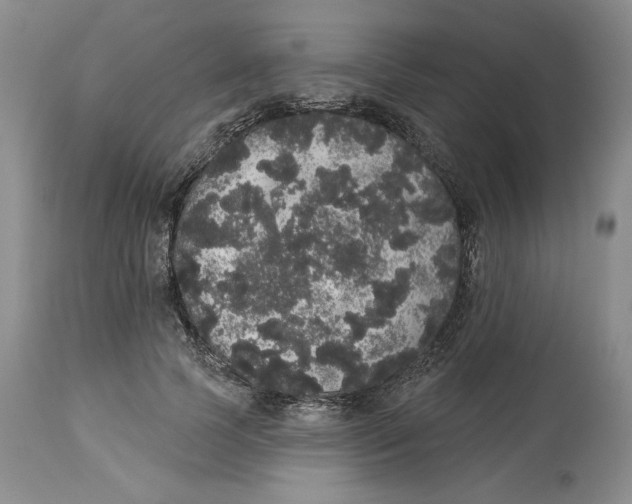 X0000113980745200910231707