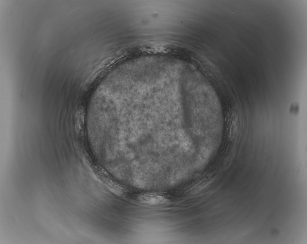 X0000113980747200910231707