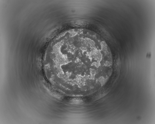 X0000113980749200910231707