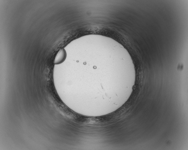 X0000113980750200910231707