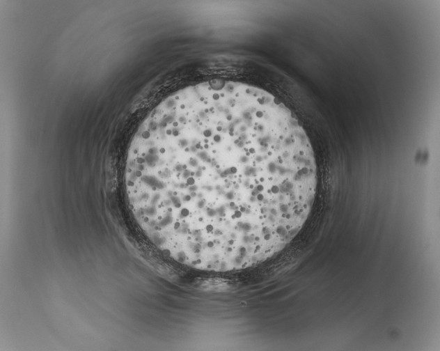 X0000113980751200910231707