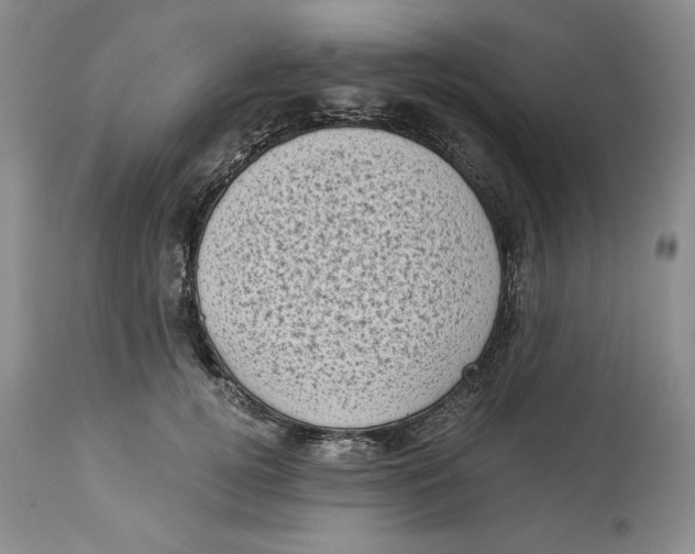 X0000113980752200910231707