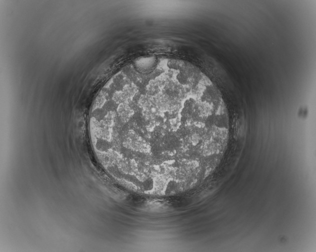 X0000113980753200910231707