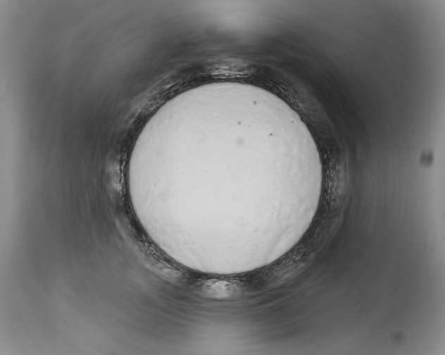 X0000113980755200910231708