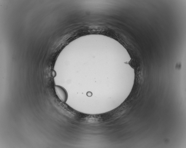 X0000113980756200910231708