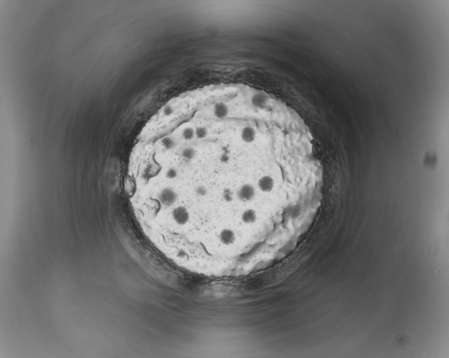 X0000113980758200910231708