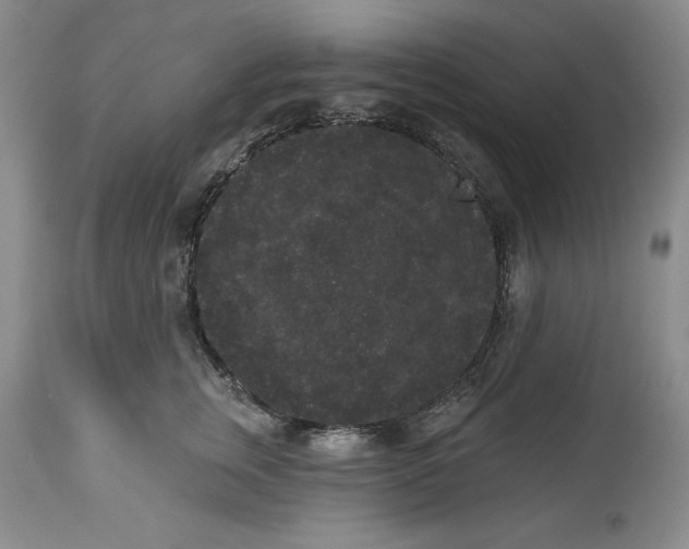 X0000113980759200910231708