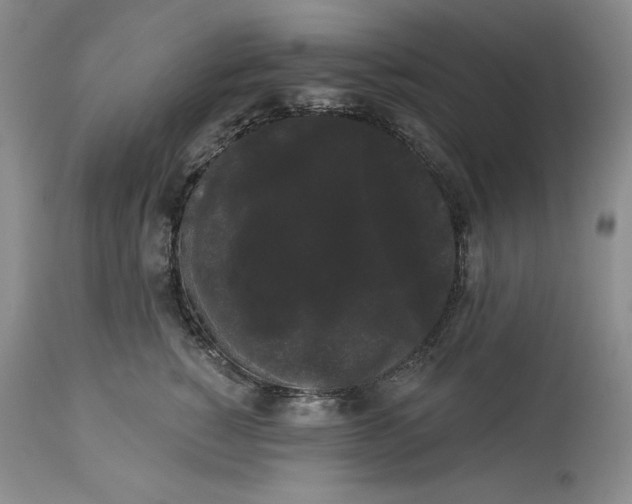 X0000113980760200910231708