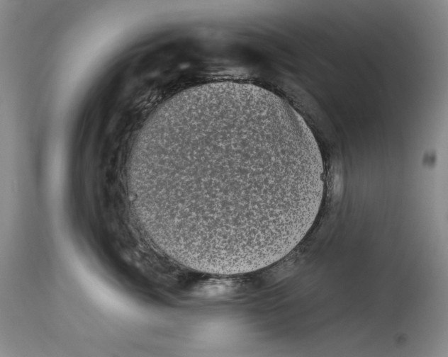 X0000113980764200910231708