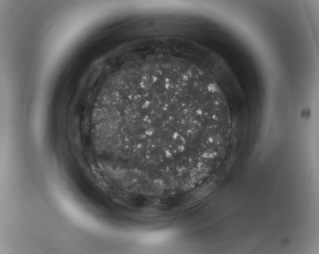 X0000113980765200910231708