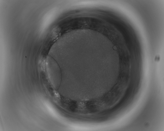 X0000113980766200910231708