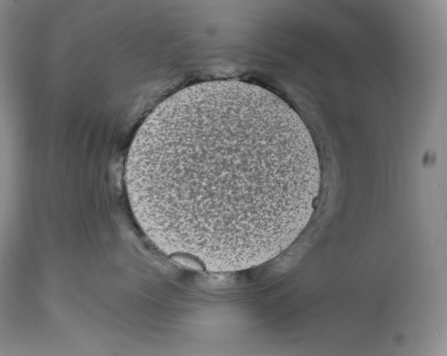 X0000113980768200910231708