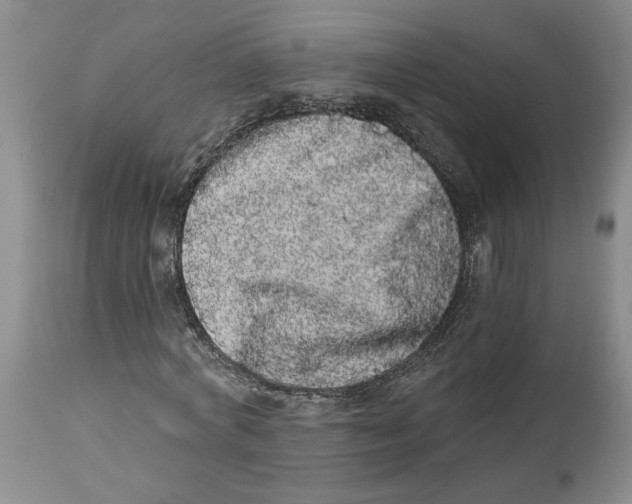 X0000113980772200910231707