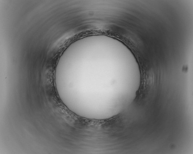 X0000113980773200910231707