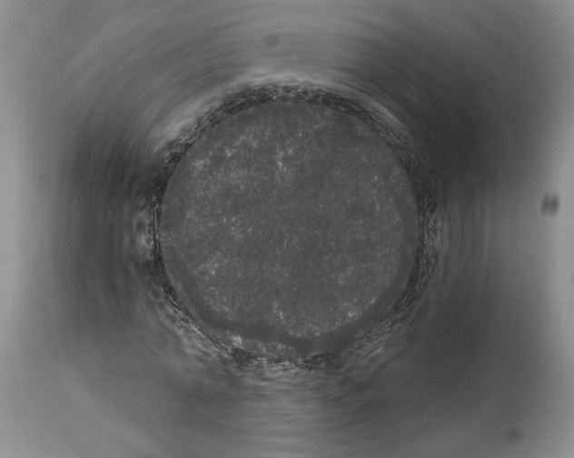 X0000113980774200910231707