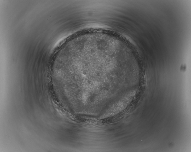 X0000113980775200910231707