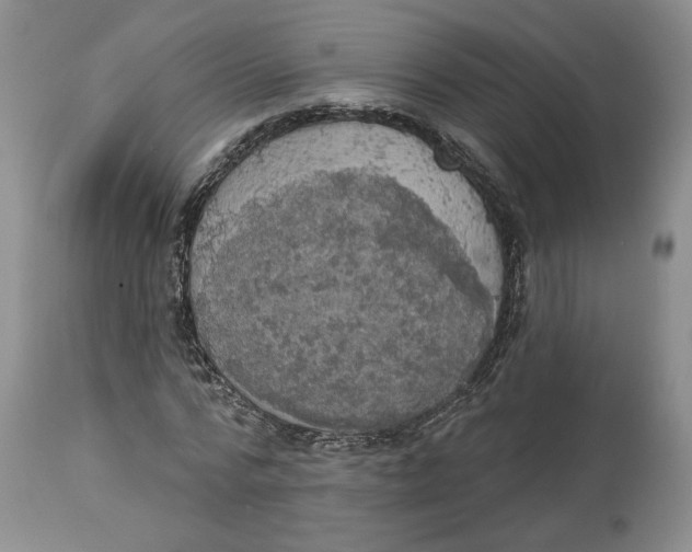 X0000113980776200910231707