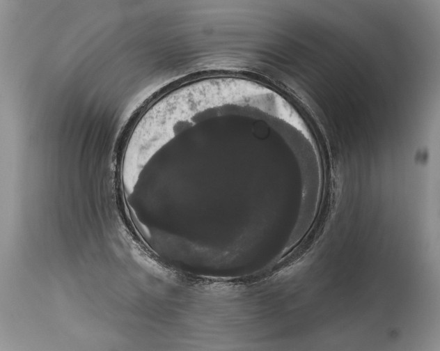 X0000113980779200910231707