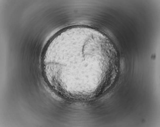 X0000113980780200910231707