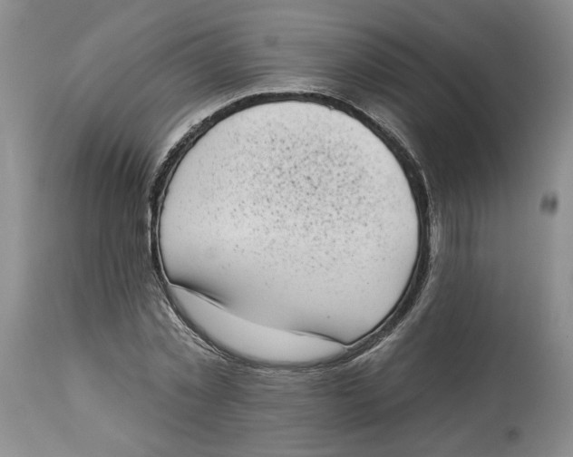 X0000113980781200910231707