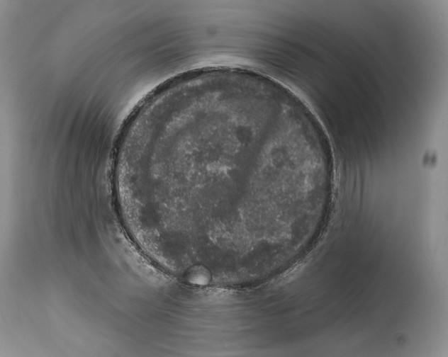 X0000113980783200910231707