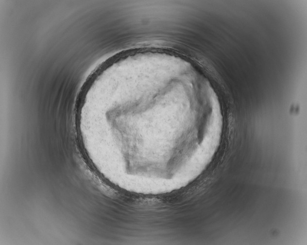 X0000113980784200910231707