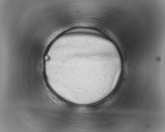 X0000113980787200910231707